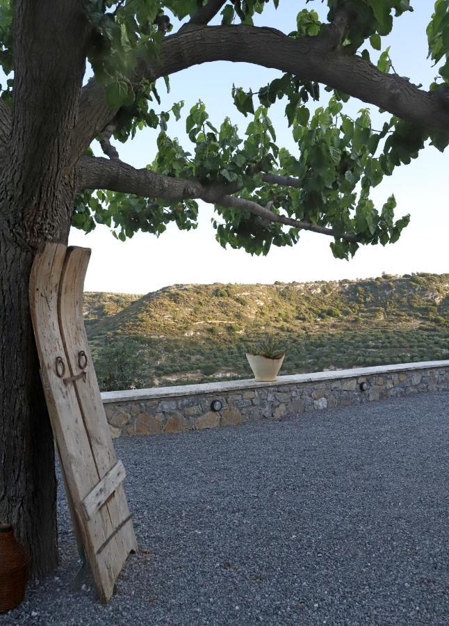 Amvikas Suites-Sitia Dış mekan fotoğraf