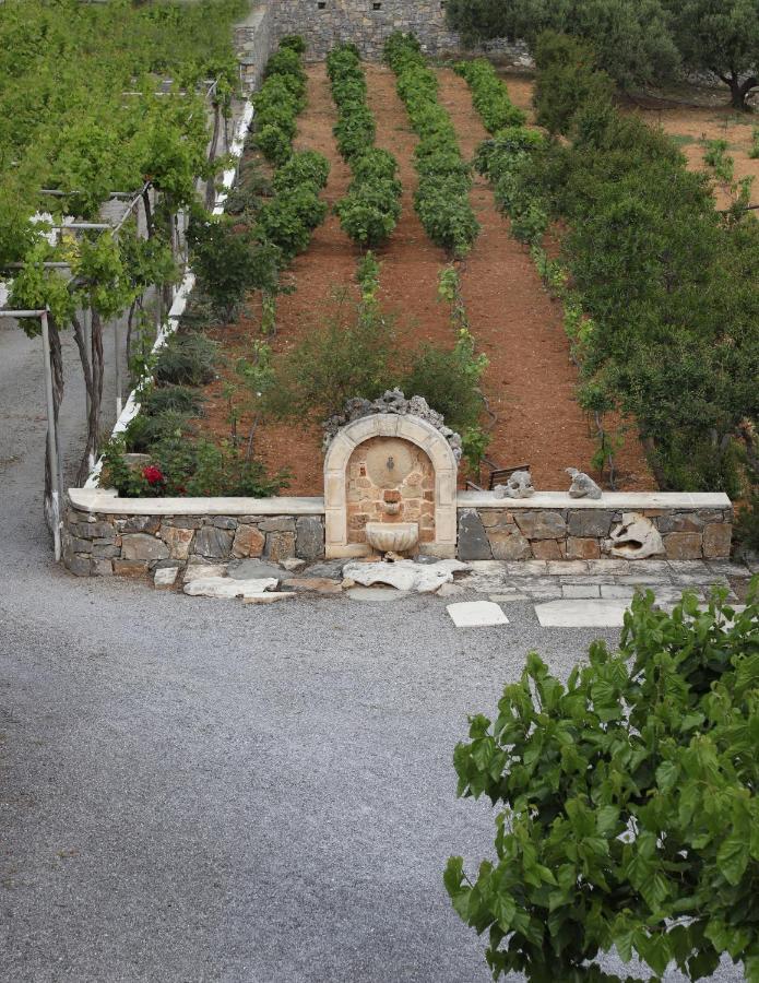 Amvikas Suites-Sitia Dış mekan fotoğraf